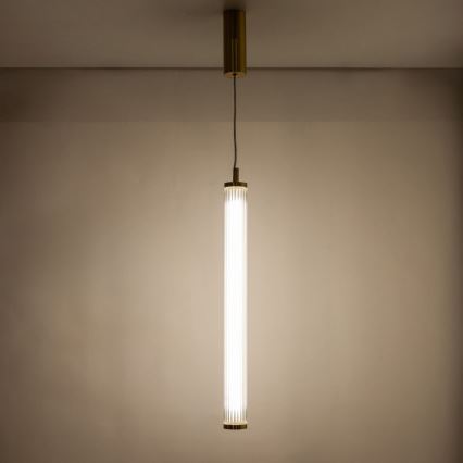 Zuma Line - LED dimmelhető kábeles csillár LED/26W/230V 2700-6500K arany + távirányító