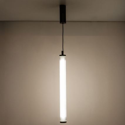 Zuma Line - LED dimmelhető kábeles függeszték LED/26W/230V 2700-6500K fekete + távirányító