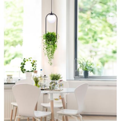 Zuma Line - Csillár zsinóron 1xE14/40W/230V fekete