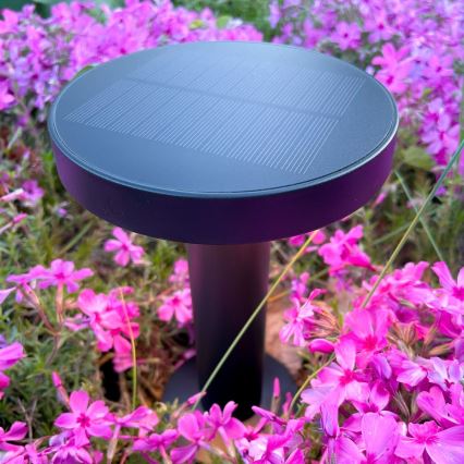 Zuma Line - LED dimmelhető napelemes asztali lámpa LED/2W/2000 mAh IP44 fekete