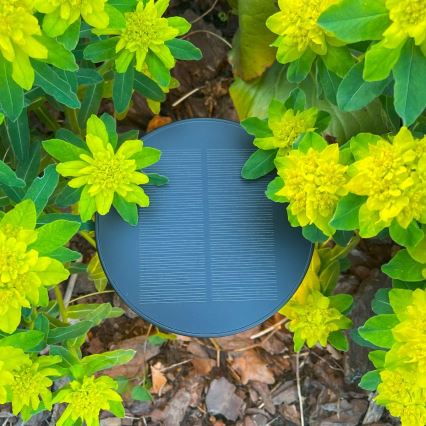 Zuma Line - LED dimmelhető napelemes asztali lámpa LED/2W/2000 mAh IP44 fekete