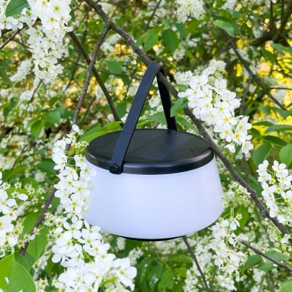 Zuma Line - LED állítható fényerejű napelemes asztali lámpa LED/2,2W/2000 mAh IP44 fekete