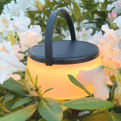 Zuma Line - LED állítható fényerejű napelemes asztali lámpa LED/2,2W/2000 mAh IP44 fekete