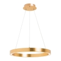 Zuma Line - LED csillár kábelen LED/30W/230V 40 cm arany