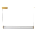 Zuma Line - LED dimmelhető csillár kábelen LED/39W/230V 2700-6500K arany + távirányító