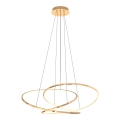 Zuma Line - LED dimmelhető függeszték kábellel LED/56W/230V arany