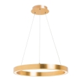 Zuma Line - LED függőlámpa kábelen LED/40W/230V Ø 50 cm arany