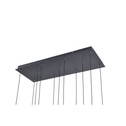 Zuma Line - LED csillár kábelen 11xLED/3W/230V fekete