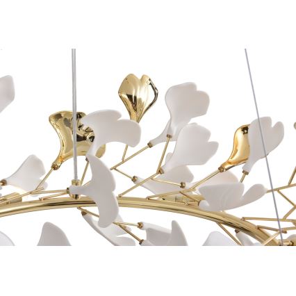 Zuma Line - Kábeles csillár, 6xG9/42W/230V, átm. 74 cm, arany