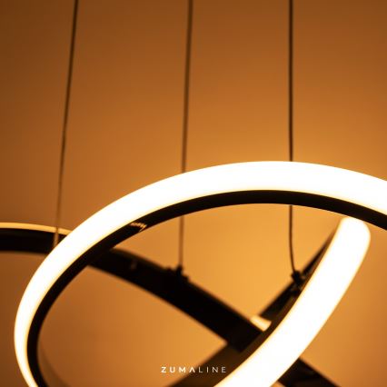 Zuma Line - LED dimmelhető függeszték kábelre LED/44W/230V fekete/arany