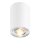 Zuma Line - Spotlámpa 1xGU10/50W/230V fehér